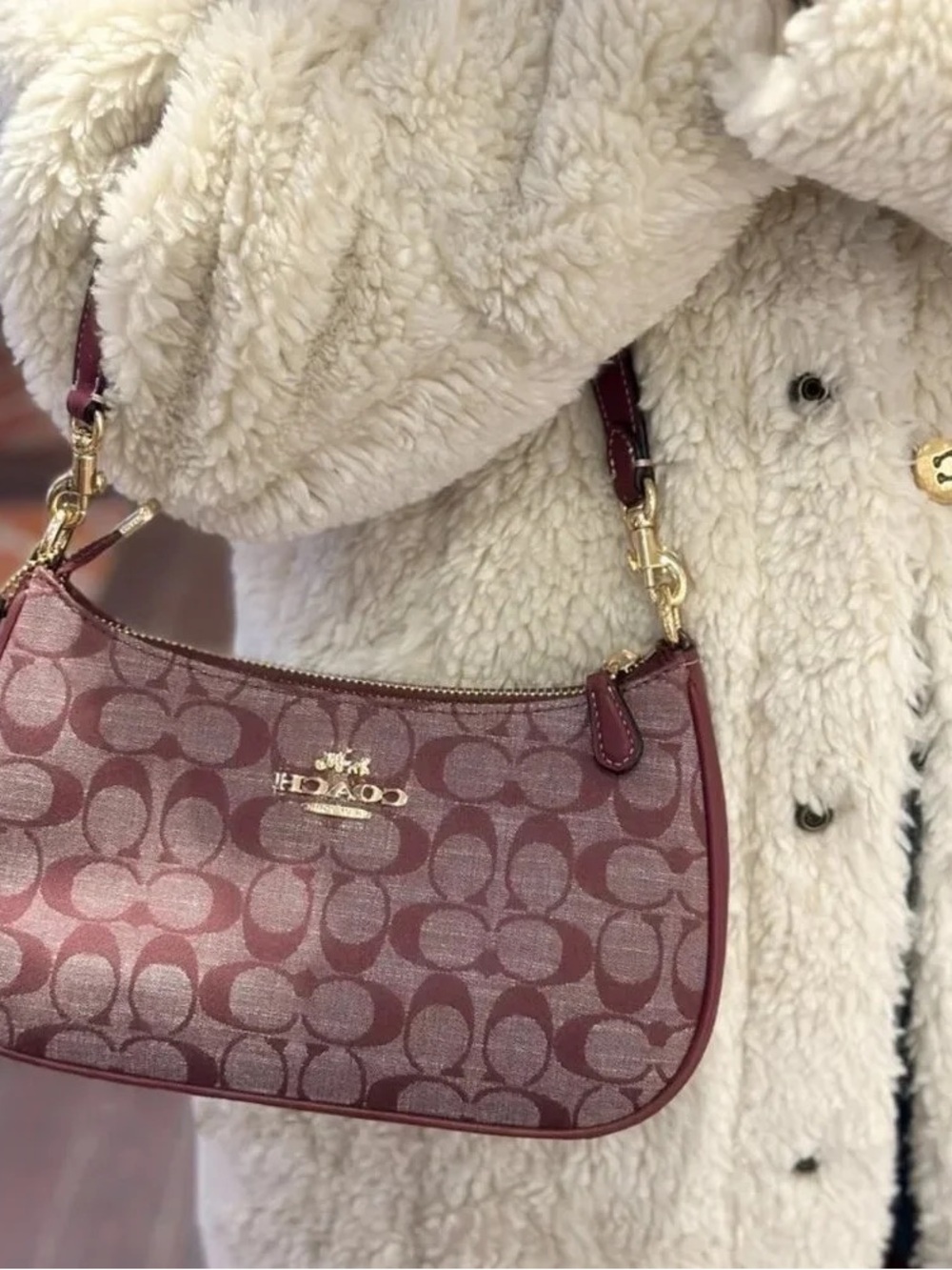 Coach Rose Jacquard Signature Small Shoulder Bag